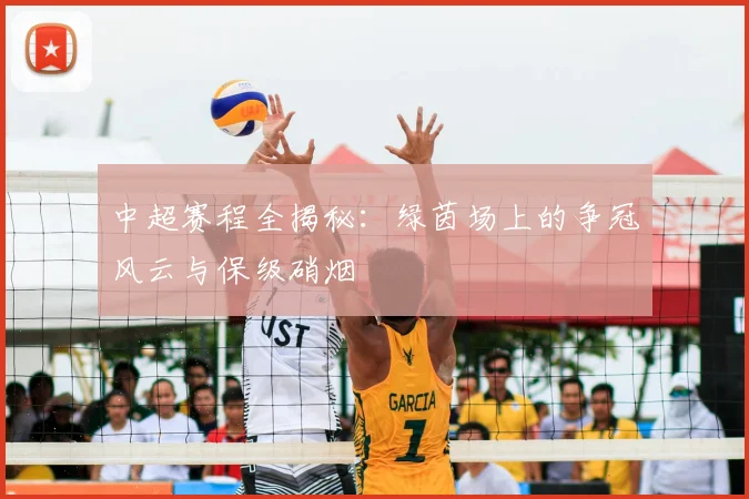 中超赛程全揭秘：绿茵场上的争冠风云与保级硝烟